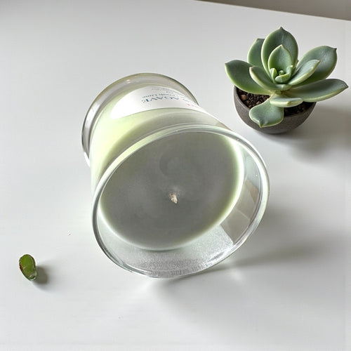 Citrus Agave | Premium Soy Candle